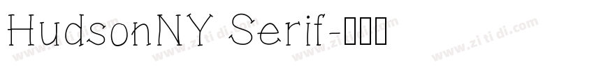 HudsonNY Serif字体转换